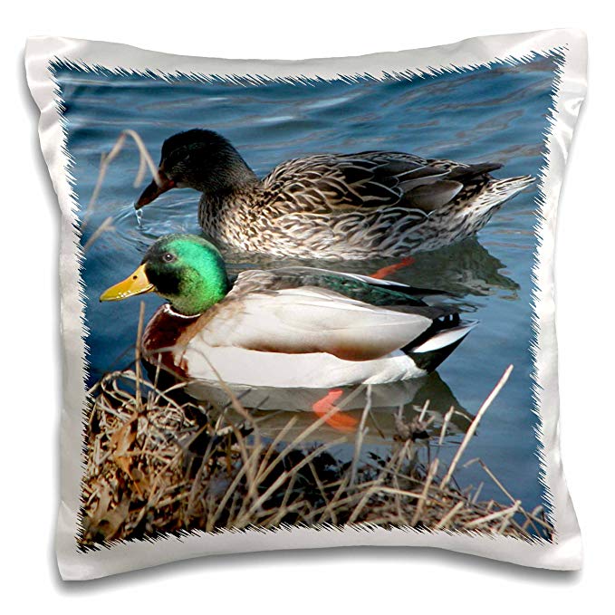 3dRose Mallard Duck Couple - Pillow Case, 16 by 16-inch (pc_11549_1)