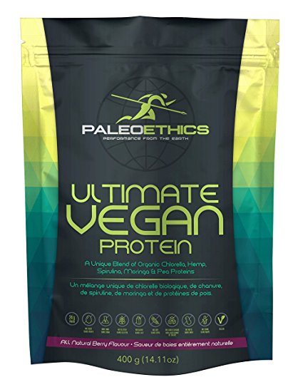 PALEOETHICS Ultimate Vegan Protein Powder, Strawberry Kiwi, 400 Gram