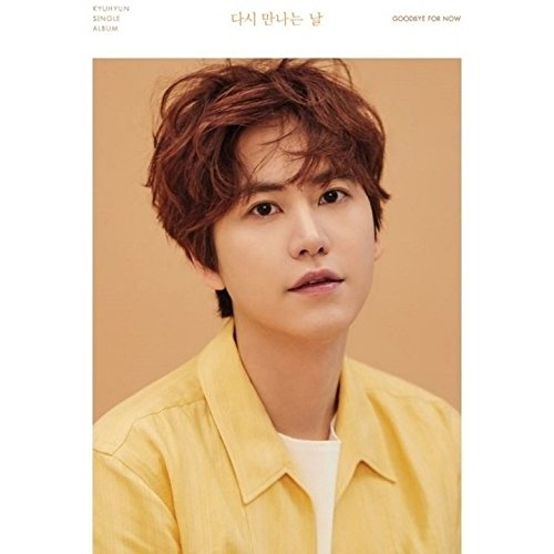 KYUHYUN Super Junior - Goodbye for now (2nd Single) Limited Edition CD Photobook Folded Poster Extra Photocard