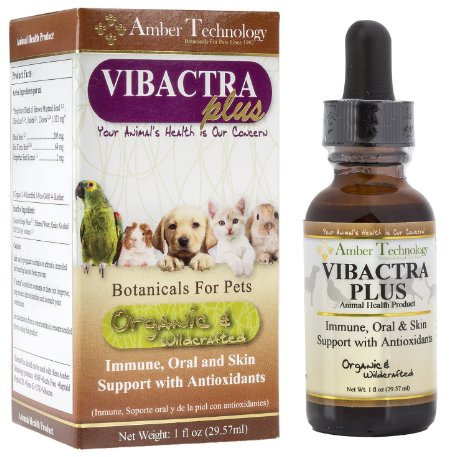 Amber Technology Vibactra Plus Herbal Supplement Designed To Help Immune, Oral & Skin with Antioxidants, 1 oz