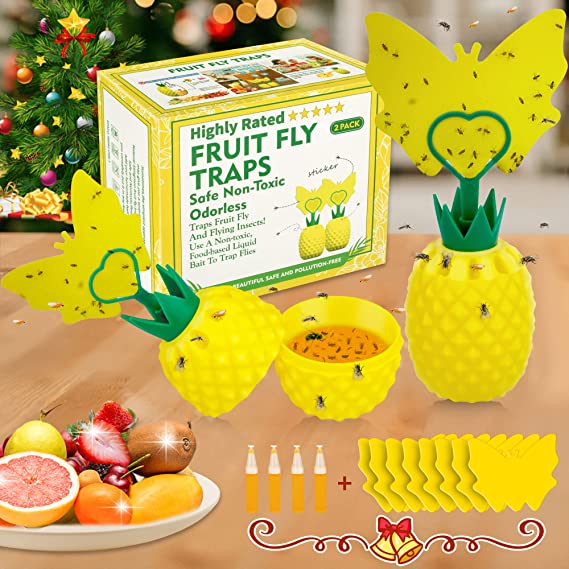 Fruit Fly Trap with Sticky Pads,Gnat Trap with 4 Bait for Indoor and Outdoor,Effective Fly Catcher Gnat Trap Killer ,Sticky Gnat Traps, Non-Toxic and Odorless Fly Trap for Plant/Home/Kitchen(2 Pack)
