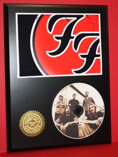 Foo Fighters Limited Edition Picture Disc CD Collectible Music Display