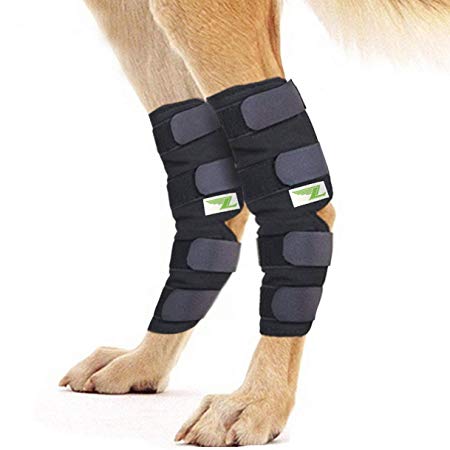 Rear Dog Leg Brace One Pair Heals Hock Joint Wrap Sleeve for Hind Legs (L)