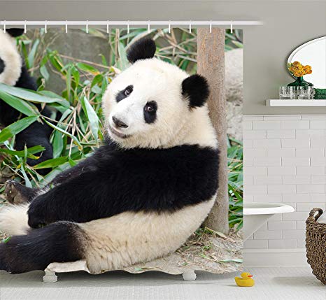 Shower Curtain Cute Panda 100% Polyester Made of 100% Polyester & Mildew and Soap Scum Resistant-66 x 72"