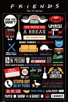 Friends TV Show Infographic Poster - 91.5 x 61cms (36 x 24 Inches)