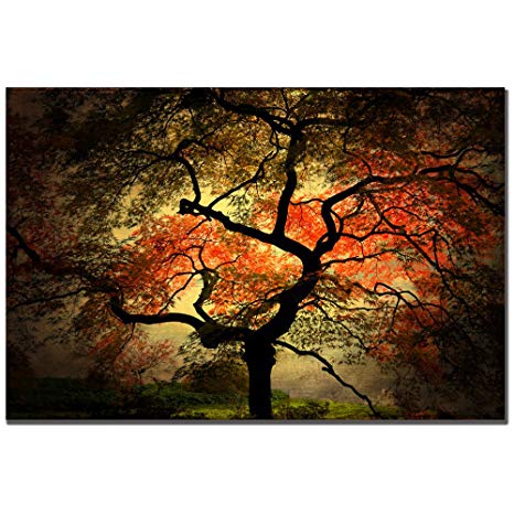 Japanese I by Philippe Sainte-Laudy, 30x47-Inch Canvas Wall Art