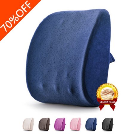 Lumbar Pillow 3D Breathable Memory Foam Back Support Massage Granules Pillow Cushion for Car Office Chair and Travel Pillow for Back Pain and Sciatica (Jazz Blue)