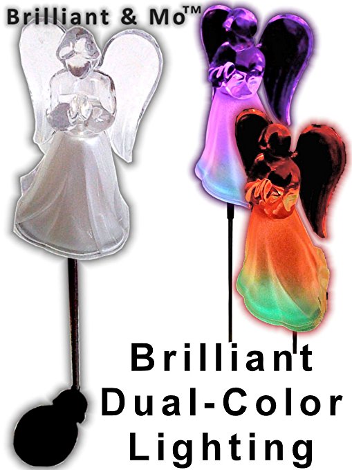 Acrylic Solar Angel Lights with A Frosted Skirt Solar Garden Stake - Box of 2