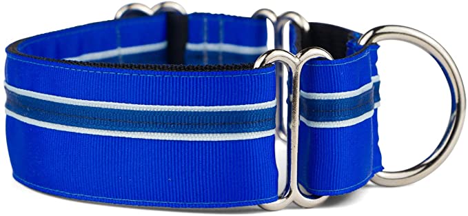 If It Barks - 1.5" Martingale Collar for Dogs - Adjustable - Nylon - Strong and Comfy - Ideal for Training - Made in USA - Large, Blueberry