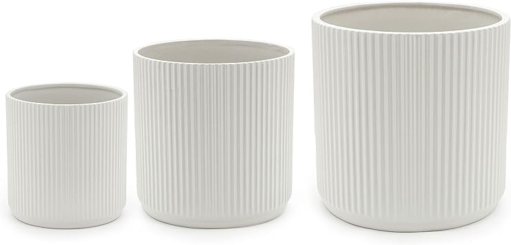 Amazon Basics Assorted Sizes Fluted Ceramic Round Planters, Set of 3, White, 6-Inch, 8-Inch, 10-Inch