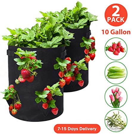 Tvird Strawberry Planting Bags 2 Pack 10 Gallon Planting Pouch Fabric Pots Premium Breathable Cloth Bags for Strawberry/Plant Container with Handles and Visualization Pockets（Black）