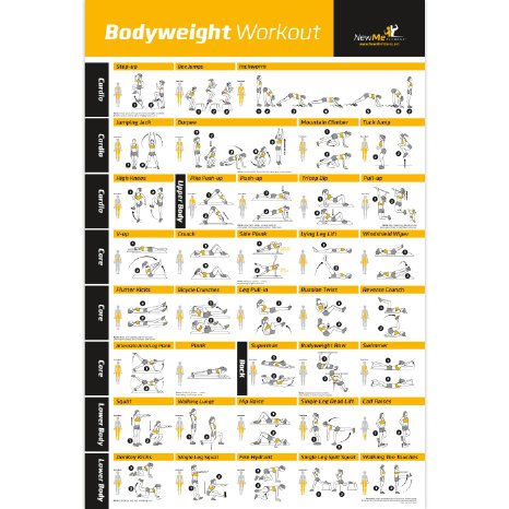 Bodyweight Exercise Poster - Total Body Workout - Personal Trainer Fitness Program for Women - Home Gym Poster - Tones Core Abs Legs Gluts and Upper Body - Improves Training Routine - 20x30