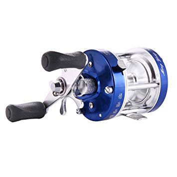 Isafish Baitcasting Reels Conventional Inshore and Offshore Saltwater and Freshwater Fishing Reels Baitcaster Golden Color