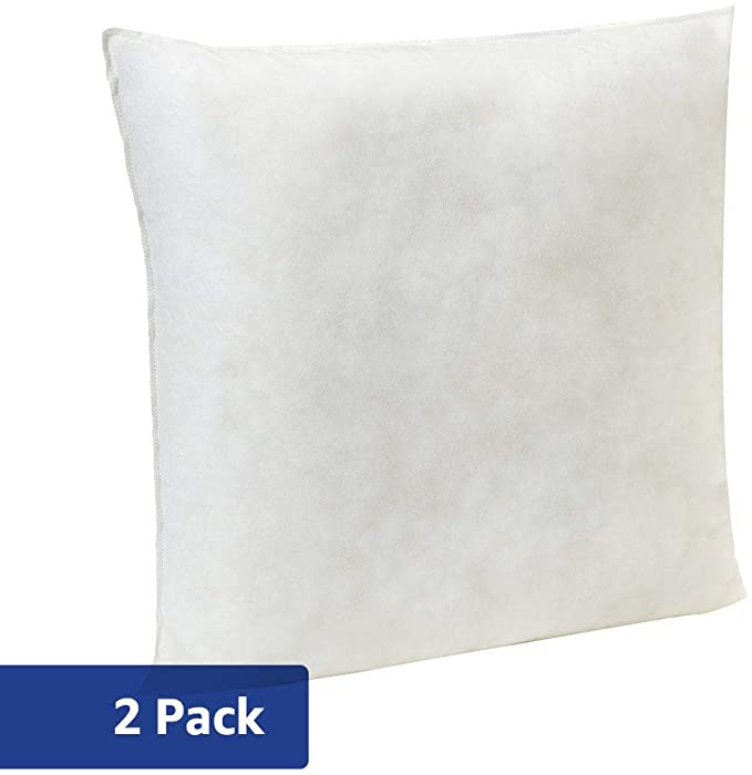 AmazonBasics Pillow Insert - 22-Inch Square, 2-Pack