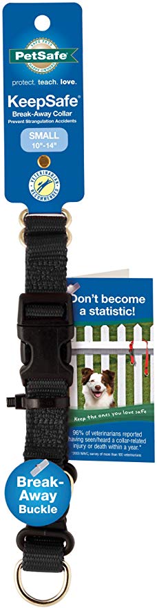 Petsafe KeepSafe Break-Away Collar, Prevent Collar Accidents for your Dog or Puppy, Improve Safety, Compatible with Leash Use, Adjustable Sizes