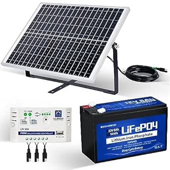 ECO-WORTHY 25W 12V netzunabhängiges Solarpanel Kit mit Lithiumbatterie: 25W Solarmodul   Batterieclip-Kabel   10A Ladregler   8ah LiFePO4 Akku für Hühnerstall Handy Auto Wohnmobil Camping im Freien