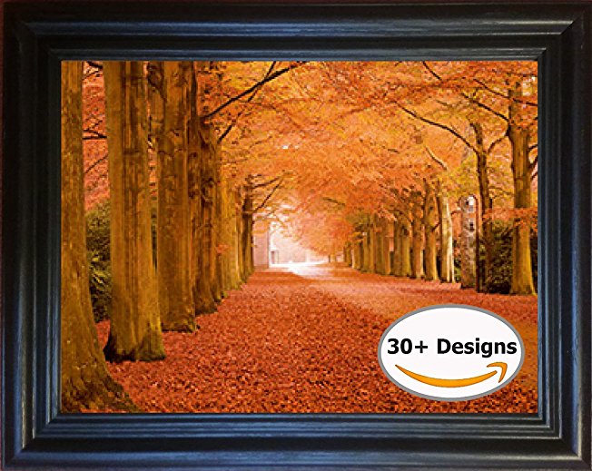 Changing Leaves Framed 3D Lenticular Picture - 14.5x18.5" | Unbelievable Life Like 3D Art | Changes between different images! | Lenticular Posters, Cool Art Deco, Unique Wall Art Décor