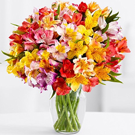 ProFlowers 25 Count Multi-Colored 100 Blooms of Peruvian Lilies w/Free Clear Vase - Flowers Mothers Day