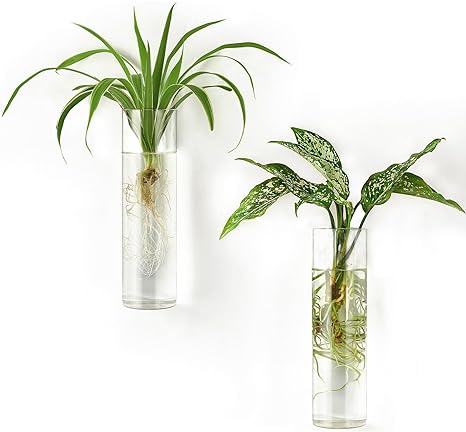 Mkono Wall Planter Propagation Station Hanging Glass Tubes Flower Vase for Hydroponics Plants, Bathroom, Home Office Living Room Decor Gift, Cylinder Set of 2