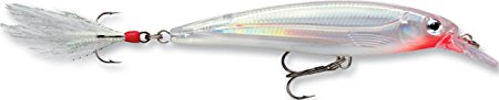 Rapala X-Rap Jerkbait XR10 Fishing Lure