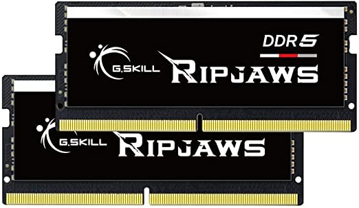 G.Skill RipJaws DDR5 SO-DIMM Series (Intel XMP) 32GB (2 x 16GB) 262-Pin DDR5 4800 CL34-34-34-76 1.10V Dual Channel Desktop Memory F5-4800S3434A16GA2-RS