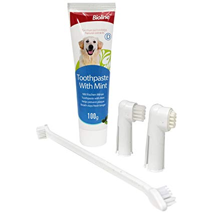 Dental Care Kit For Dogs Improves Oral Hygiene Prevents Gum Disease & Plaque (Mint)