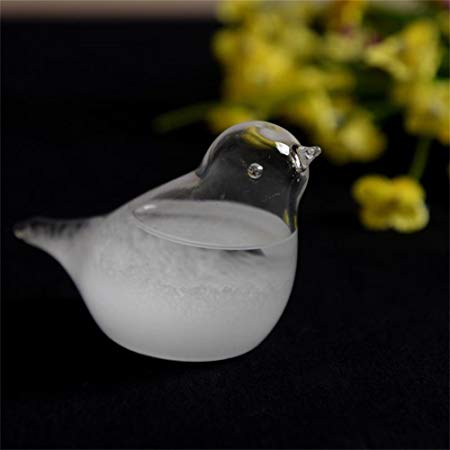 Weather Forecast Barometer Bird Shape Storm Glass Home Office Decoration Birthday Christams Gift
