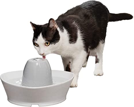 PetSafe Ceramic Cat and Dog Water Fountains - Creekside or Seascape Pet Drinking Fountain - 60 oz