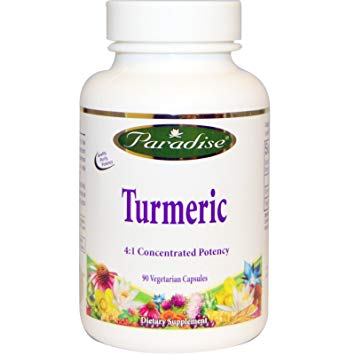 Paradise Herbs - Turmeric 500 mg. - 90 Vegetarian Capsules