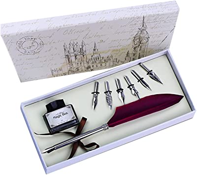 Feather Quill Pen and Ink English Calligraphy Pen Set Antique Dip Pen with Ink and 6 PCS Nibs for Drawing,Writing, Best Holiday gifts