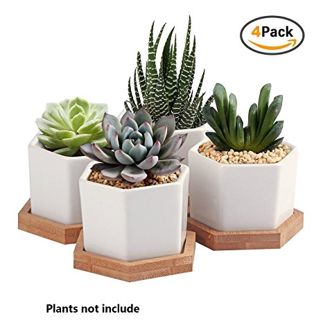 Succulent Plant Pots,OAMCEG 2.75 Inch Succulent Plant Pots,Set of 4 White Ceramic Succulent Cactus Planter Pots with Bamboo Tray