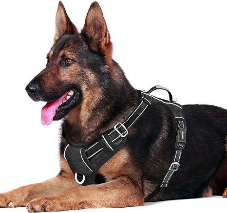 BARKBAY No Pull Dog Harness Front Clip Heavy Duty Reflective Easy Control Handle for Large Dog Walking with ID tag Pocket(Black,XL)