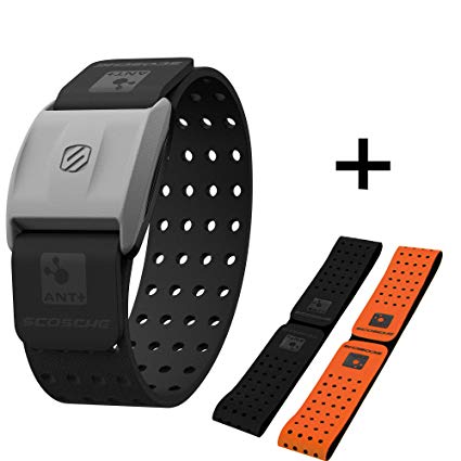 Scosche RHYTHM  Heart Rate Monitor Armband