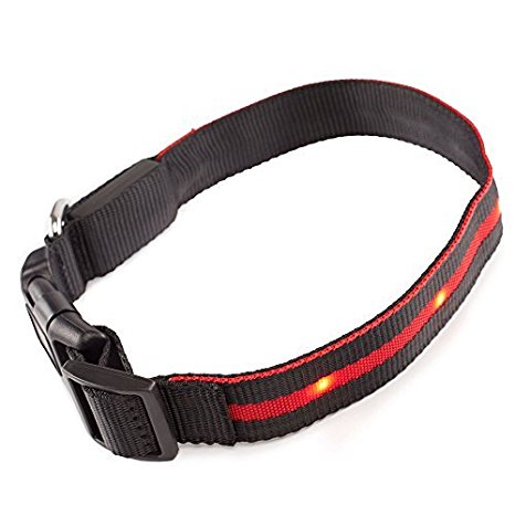 Andrew James Light-Up Flashing Dog Collar with Red LED Lights, Rechargable with USB, Adjustable 50cm Black Nylon Water-Repellant