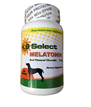 Melatonin for Dogs 3 mg Chewable Beef Flavor 120 Tabs