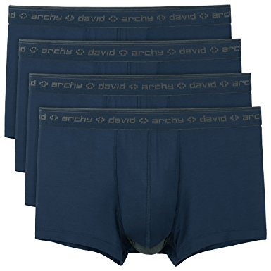 David Archy Men's Micro Modal Separate Pouches Trunks 4PACK