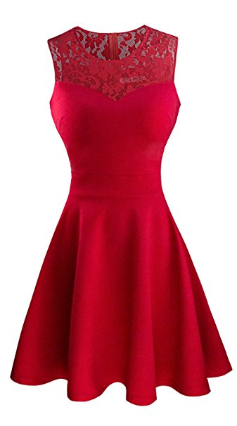 Heloise Fashion Women's A-Line Pleated Sleeveless Little Cocktail Party Dress with Floral Lace