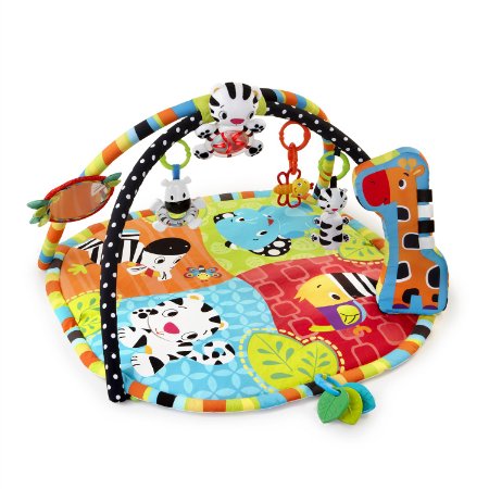 Bright Starts Start Your Senses Safari Activity Gym, Spots and Stripes (Older Version) (Discontinued by Manufacturer)