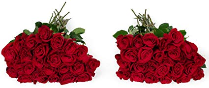 Benchmark Bouquets 50 Red Roses Farm Direct (Fresh Cut Flowers)
