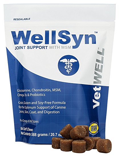 VetWELL - WellSyn Joint Supplement for Dogs - Glucosamine for Dogs with Chondroitin, MSM, Omega 3s and Probiotics for Mobility, Healthy Skin, Shiny Coat, Digestive and Immune Health - 84 Soft Chews