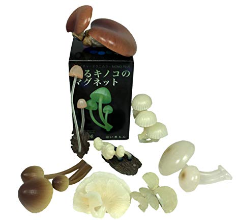 Kitan Club Luminous Mushroom Plastic Toys - Magnetic and Glow-in-the-Dark - Blind Box Includes 1 of 8 Collectable Figurines - Authentic Japanese Design - Made from Durable Plastic