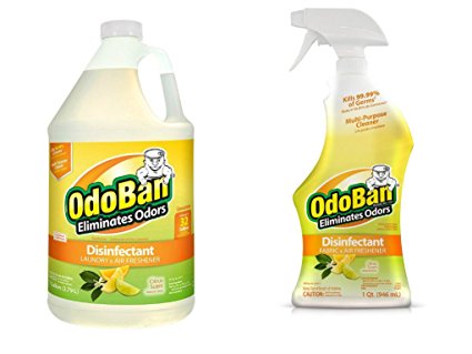 OdoBan Ready-to-Use 32oz Spray Bottle and 1 Gal Concentrate, Citrus Scent