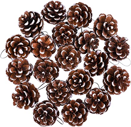 Cooraby 20 Pieces Christmas Pine Cones Pendant Snow Natural Pine Cones Ornament 4 to 6 cm Pine Cones for Christmas Home Thanksgiving Party Decoration