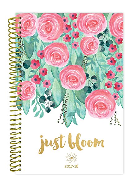 bloom daily planners 2017-18 Academic Year Daily Planner - Passion/Goal Organizer - Monthly and Weekly Datebook and Calendar - August 2017 - July 2018 - 6" x 8.25" - Just Bloom