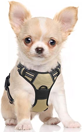 rabbitgoo Dog Harness, No-Pull Pet Harness with 2 Leash Clips, Adjustable Soft Padded Dog Vest, Reflective No-Choke Pet Oxford Vest with Easy Control Handle for Large Dogs,Honey Wheat (S, Chest 15.7-27.6")