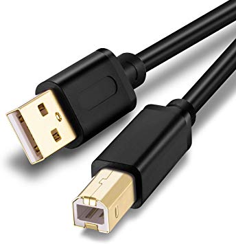 Printer Cable 1Ft,USB Printer Cable USB 2.0 Type A Male to B Male Scanner Cord High Speed for Brother, HP, Canon, Lexmark, Epson, Dell, Xerox, Samsung etc(0.3M/1Ft (2Packs))