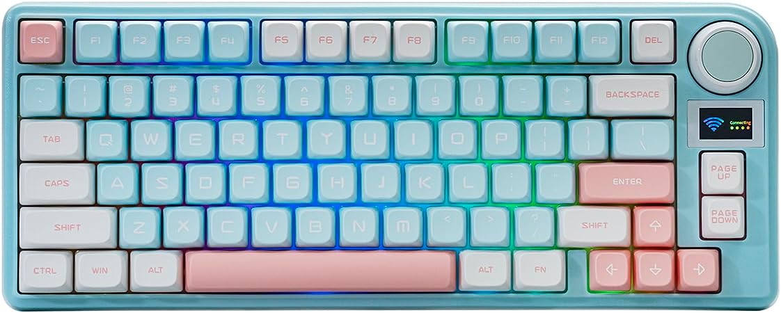 EPOMAKER TH80-X Gasket Mechanical Keyboard, 75% Layout Triple Mode Hot-swap Gaming Keyboard, with 8000mAh Battery, LCD Screen, Silicon Pad, NKRO, RGB for Office/Win/Mac (Pink Blue,Flamingo Switch)