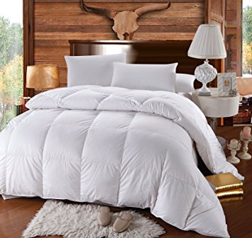 Royal Hotel GOOSE-DOWN Comforter, 500-Thread-Count, 100% Cotton Shell, 750FP - 48 Ounce, Full/Queen