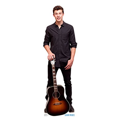 Shawn Mendes - Advanced Graphics Life Size Cardboard Standup