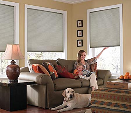 Windowsandgarden Custom Cordless Single Cell Shades, 46W x 41H, Cool Silver, Any size from 21" to 72" wide and 24" to 72" high Available